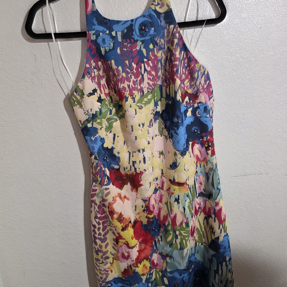 Floral Multicolor Sleeveless Dress